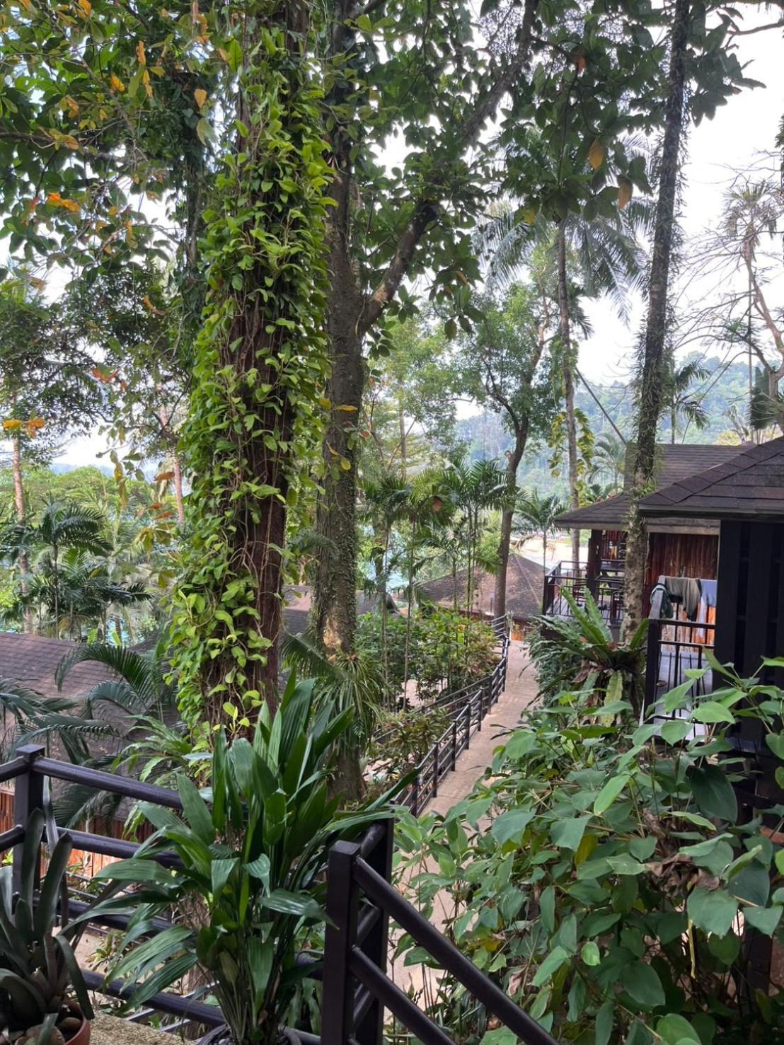 Baan Krating Khao Lak Resort - Sha Plus Exterior foto