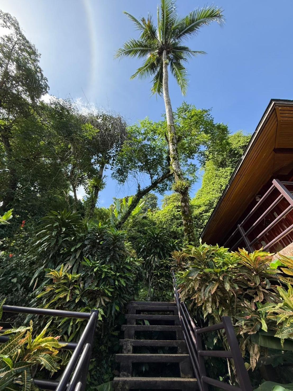 Baan Krating Khao Lak Resort - Sha Plus Exterior foto