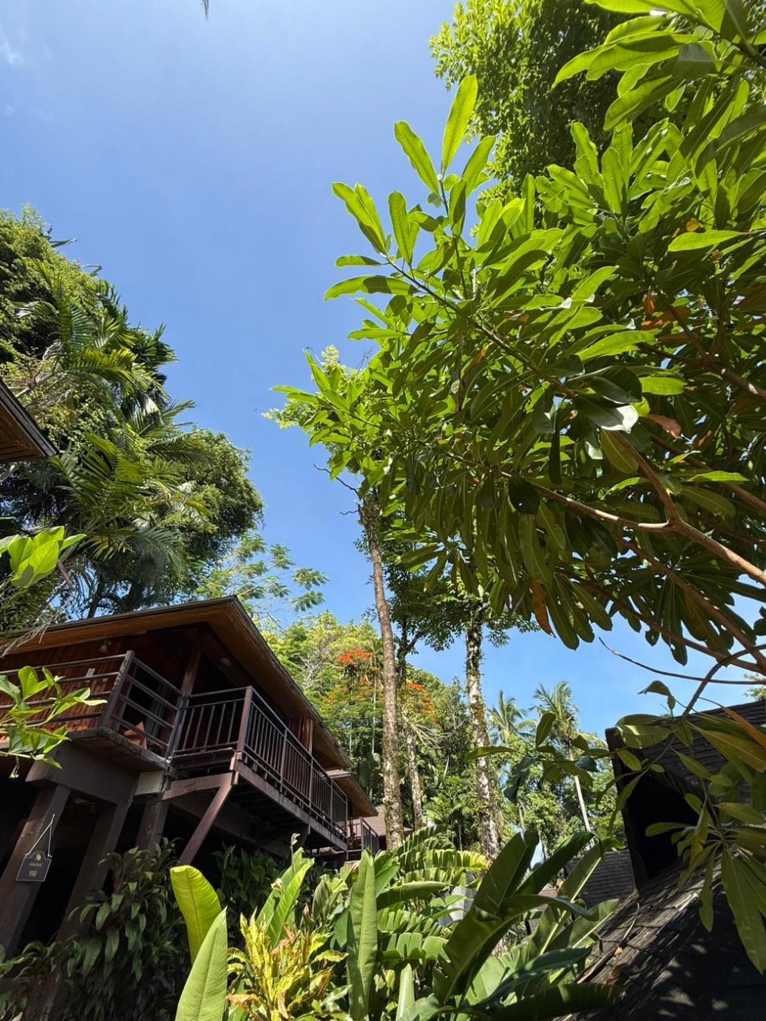 Baan Krating Khao Lak Resort - Sha Plus Exterior foto